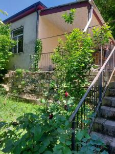 a house with a staircase in front of a plant at House by the river in Qǝçrǝş