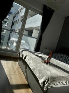 1 dormitorio con cama y ventana grande en Apartament Drewnowska przy Manufakturze en Lodz