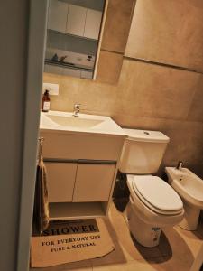 a bathroom with a sink and a toilet and a mirror at Excelente Apartamento Centro Opcional Cochera by Lofter in La Plata