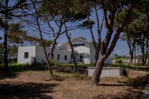 una casa bianca con alberi di fronte di Forest Village a Azenhas do Mar