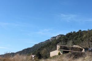Príroda v okolí hostela