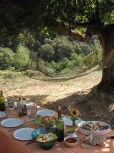 una mesa con platos de comida y botellas de vino en Bed and Breakfast Casanova de Sant Miquel, en Aiguafreda