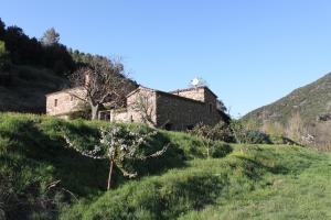 Príroda v okolí hostela