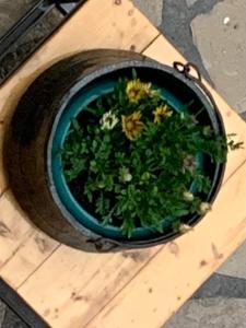 Gambar di galeri bagi Guest House Oxygen di Kazbegi