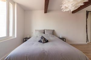 un perro acostado en una cama en un dormitorio en Charmant duplex Castelnaudary, en Castelnaudary