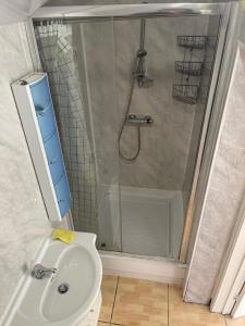 uma casa de banho com um chuveiro, um WC e um lavatório. em Quite Broad Resr 1 em Longford