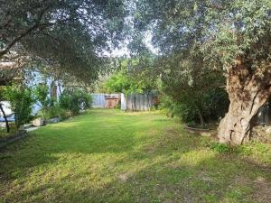 a yard with a tree and a fence at Zephyr Guest House in Lefokastro +14 photos