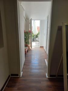 Galeriebild der Unterkunft Villa Novalja in Novalja