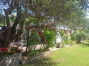 a garden with a tree and a house at Zephyr Guest House in Lefokastro