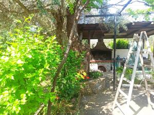 a garden with a ladder and a tree at Zephyr Guest House in Lefokastro