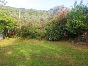 a yard with some bushes and a tree at Zephyr Guest House in Lefokastro