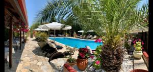 a resort with a pool and a palm tree at Agrili Apartments & Rooms in Elia