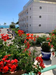 Aed väljaspool majutusasutust Hôtel La Villa des Oliviers