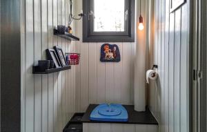 baño pequeño con lavabo azul y ventana en 2 Bedroom Beautiful Home In Vatnestrm, en Mykland