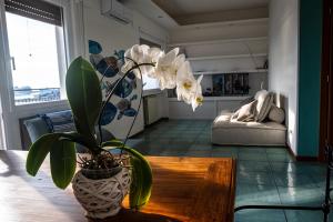 a vase with white flowers on a table in a living room at MARE FUORI APARTMENT in Civitavecchia