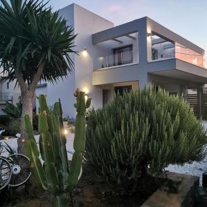 a house with a cactus in front of it at Muse by the beach in Amoudara Lasithiou