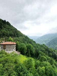 a building on the side of a hill with trees at DUDİ KONAK HOTEL in Rize +31 photos