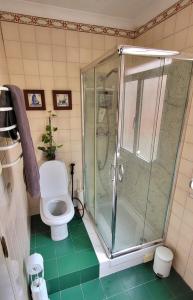 uma casa de banho com um chuveiro e um WC. em Cosy Apartment in Central Lisbon em Lisboa