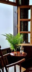 a plant sitting on a table next to a window at DUDİ KONAK HOTEL in Rize