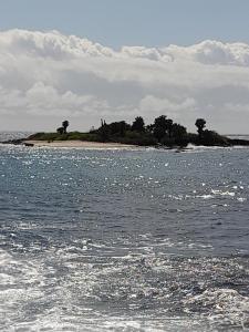 an island in the ocean with trees on it at El Paraiso in Puerto Ayora