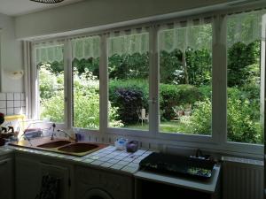 a kitchen with a sink and a window at Le Camélia in Vaux-le-Pénil