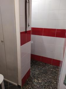 La salle de bains est pourvue d'une douche avec du carrelage rouge et blanc. dans l'établissement Maison avec parking privatif, à Arnage