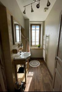 ein Badezimmer mit Waschbecken und Spiegel in der Unterkunft Appartement Le feron in Vic-sur-Cère