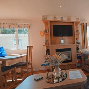 een woonkamer met een open haard en een televisie bij Rydal 38 Haven lakeland LA11 7LT in Flookburgh