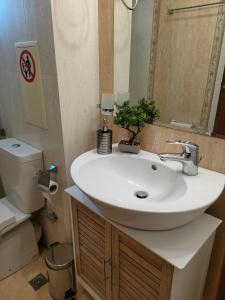 a bathroom with a sink and a mirror and a toilet at Apartment Sunny in Casa Del Mare in Varna City