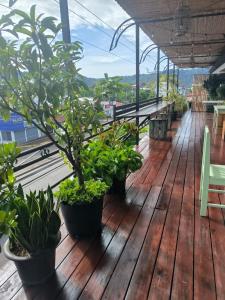 una terraza de madera con macetas. en La Hacienda Rooms & Food, en Jacó