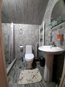 Ένα μπάνιο στο Kazbegi cottages qabarjina