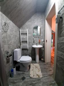 a bathroom with a toilet and a sink at Kazbegi cottages qabarjina in Stepantsminda