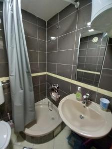 a bathroom with a sink and a toilet and a mirror at Apartman Deni in Tuzla +44 photos
