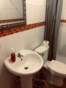 Vannituba majutusasutuses Hostal Dilu Boquete +27 fotot