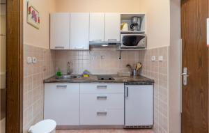 Kuchyňa alebo kuchynka v ubytovaní 2 Bedroom Lovely Apartment In Jadranovo