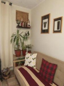 sala de estar con sofá y macetas en Dulce hogar, en Santiago