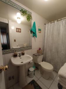 a bathroom with a sink and a toilet and a shower at Dulce hogar in Santiago