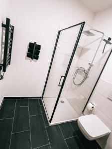 a bathroom with a shower and a toilet at Deine Auszeit in Eggesin