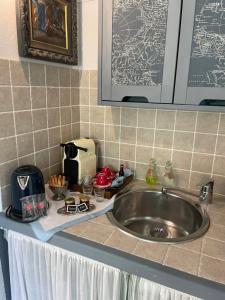 W kuchni znajduje się umywalka i toster. w obiekcie hameau de prebarjaud w mieście Fayence