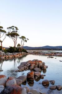 a river with rocks and trees in the water at Driftwood Rest Binalong Bay Sleeps 4 in Binalong Bay