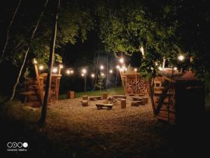 park w nocy z oświetleniem w tle w obiekcie Sosnowy Raj - domki na Mazurach w mieście Maradki