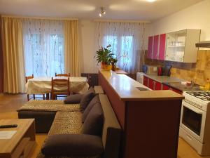 cocina y sala de estar con sofá y mesa en Apartments Sara en Labin