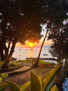 um pôr-do-sol sobre uma praia com árvores e o oceano em Fauna em Praia do Bananal