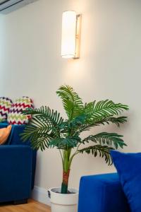 a green plant in a white pot next to a blue couch at Orbi City Sea VIEW in Batumi