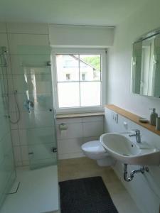 a bathroom with a toilet and a sink and a shower at Direkt am Naherholungsgebiet in Marktoberdorf