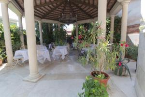 Zahrada ubytování Rooms and apartments PALMA B&B