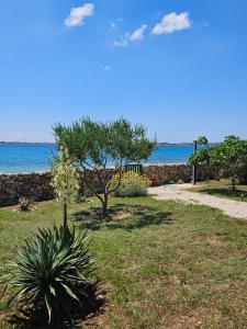 a garden with a tree and a stone wall at Holiday house Adriana in Povljana +14 photos