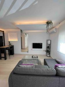 sala de estar con 2 sofás y TV de pantalla plana en Apartamento marqués en Madrid