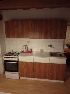 uma cozinha com um fogão e um lavatório em Domček v Turnej em Trenčianska Turná