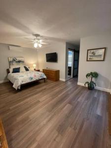 1 dormitorio con 1 cama y ventilador de techo en Lil’ Peace & Tranquility, en Kingston